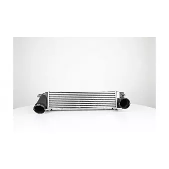 BSG BSG 15-535-009 - Intercooler, échangeur