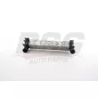 BSG BSG 15-535-025 - Intercooler, échangeur