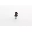 BSG BSG 15-840-045 - Sonde de température, liquide de refroidissement