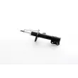 BSG BSG 16-300-025 - Amortisseur avant droit 