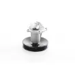BSG BSG 16-500-005 - Pompe à eau