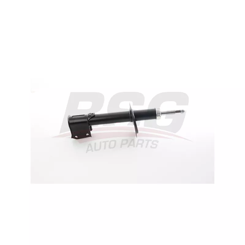 Jeu de 2 amortisseurs avant BSG BSG 25-300-022 - Visuel 1