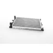 BSG BSG 25-520-010 - Radiateur, refroidissement du moteur