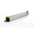 BSG BSG 25-535-007 - Intercooler, échangeur