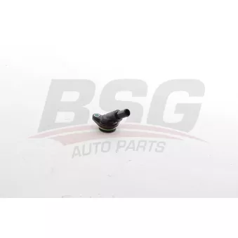 BSG BSG 25-720-062 - Durite de radiateur