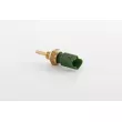 BSG BSG 25-840-007 - Sonde de température, liquide de refroidissement