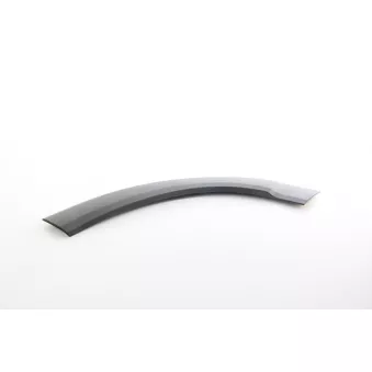 Baguette et bande protectrice, aile avant droit BSG OEM 735646206