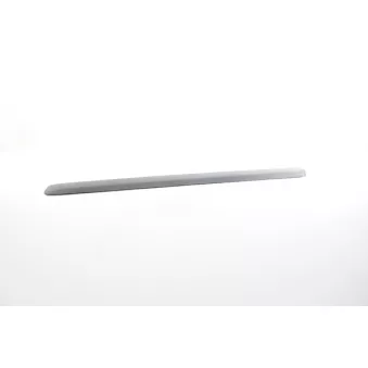 BSG BSG 25-924-002 - Baguette et bande protectrice, porte avant droit 
