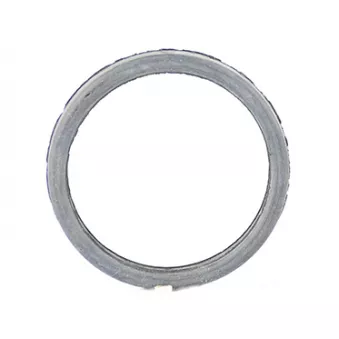 BSG BSG 30-116-077 - Joint d'étanchéité, thermostat