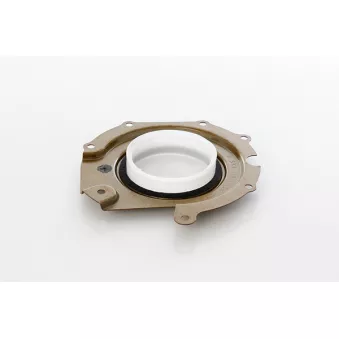 Bague d'étanchéité système SPI, pompe d'injection BSG OEM 1198063