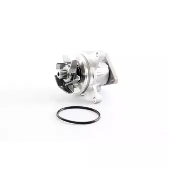 Pompe à eau BSG BSG 30-500-025