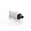 BSG BSG 30-836-005 - Controle de ralenti, alimentation en air