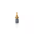 BSG BSG 30-840-071 - Sonde de température, liquide de refroidissement