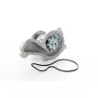 BSG BSG 35-500-002 - Pompe à eau, refroidissement du moteur