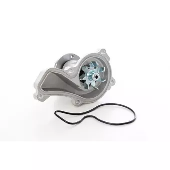 Pompe à eau, refroidissement du moteur BSG OEM 19200RNAA02