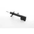 BSG BSG 40-300-085 - Amortisseur avant droit 