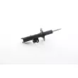 BSG BSG 44-300-009 - Amortisseur avant droit 