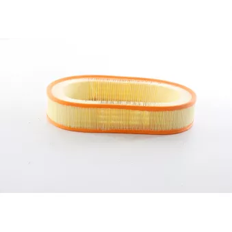 Filtre à air BSG OEM 0020948704