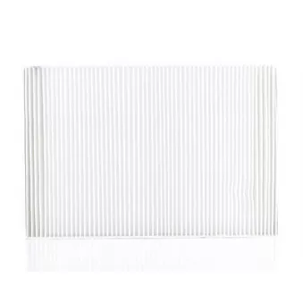 Filtre, air de l'habitacle BSG BSG 60-145-001