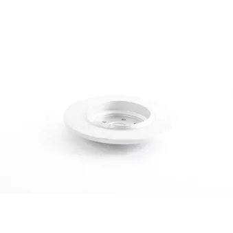 Jeu de 2 disques de frein arrière BSG OEM A1634230012