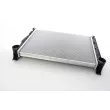 BSG BSG 60-520-057 - Radiateur, refroidissement du moteur