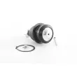Rotule de suspension BSG [BSG 63-310-012]