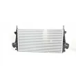 BSG BSG 65-535-002 - Intercooler, échangeur