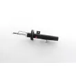 BSG BSG 70-300-035 - Amortisseur avant gauche 