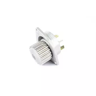Pompe à eau BSG OEM 210106F900