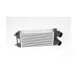 BSG BSG 70-535-004 - Intercooler, échangeur