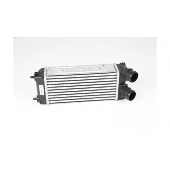 Intercooler, échangeur BSG BSG 70-535-004