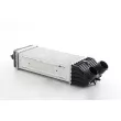 BSG BSG 70-535-010 - Intercooler, échangeur