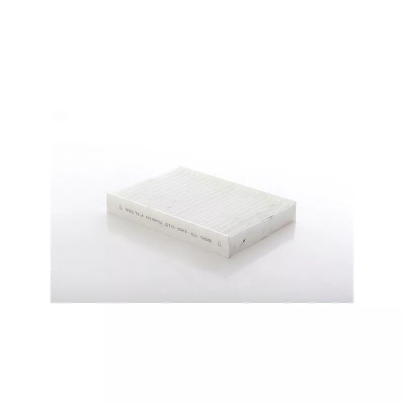 Filtre, air de l'habitacle BSG BSG 75-145-015 - Visuel 1