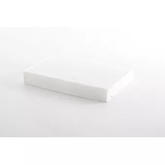 Filtre, air de l'habitacle BSG OEM 272775340R