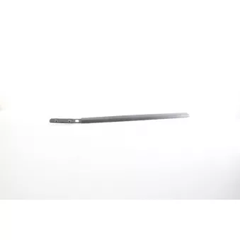 Baguette et bande protectrice, aile avant droit BSG BSG 75-924-013