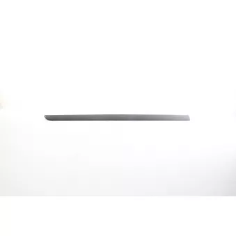 Baguette et bande protectrice, porte avant gauche BSG BSG 75-924-019