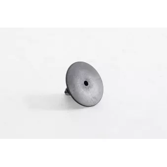 Clip de fixation, revêtement pour dessous de caisse BSG OEM 7703077435