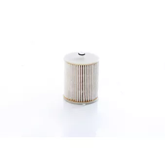 Filtre à carburant BSG OEM 233900N100