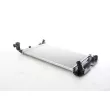 BSG BSG 85-520-016 - Radiateur, refroidissement du moteur