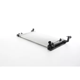Radiateur, refroidissement du moteur BSG OEM 164000D210
