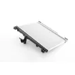 BSG BSG 85-520-035 - Radiateur, refroidissement du moteur