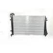BSG BSG 90-535-011 - Intercooler, échangeur