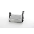 BSG BSG 90-535-019 - Intercooler, échangeur