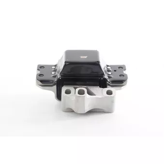 Suspension, boîte automatique BSG OEM 5N0199555