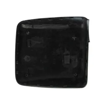 BLIC 6103-01-1321221P - Boitier, rétroviseur extérieur