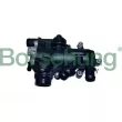 Borsehung B10555 - Thermostat, liquide de refroidissement