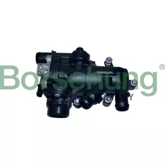 Borsehung B10555 - Thermostat, liquide de refroidissement