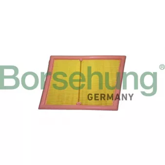 Filtre à air Borsehung OEM 13718513944
