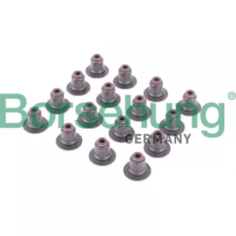 Bague d'étanchéité, tige de soupape Borsehung B12506