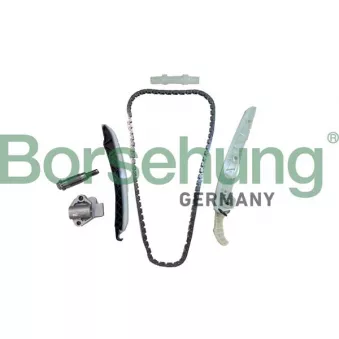 Kit de distribution par chaîne Borsehung B12555